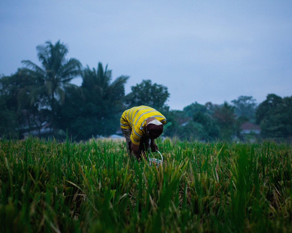 Migrant agricultural workers are especially affected by injustices in Thailand